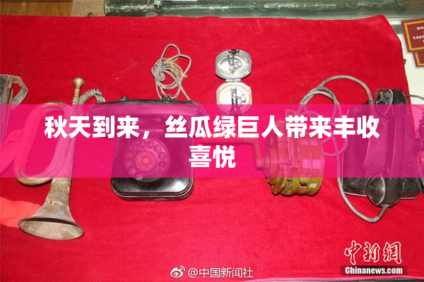 秋天到来，丝瓜绿巨人带来丰收喜悦