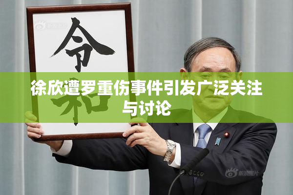 徐欣遭罗重伤事件引发广泛关注与讨论