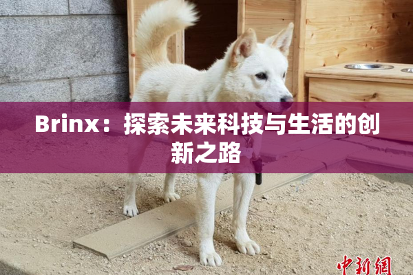 Brinx：探索未来科技与生活的创新之路