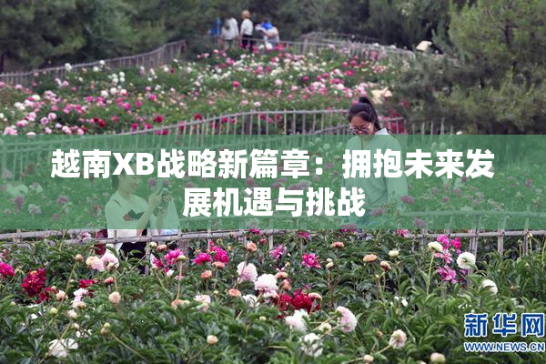 越南XB战略新篇章：拥抱未来发展机遇与挑战