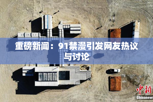 重磅新闻：91禁漫引发网友热议与讨论