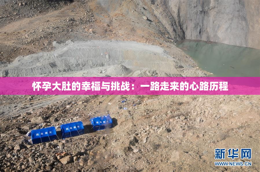 怀孕大肚的幸福与挑战：一路走来的心路历程
