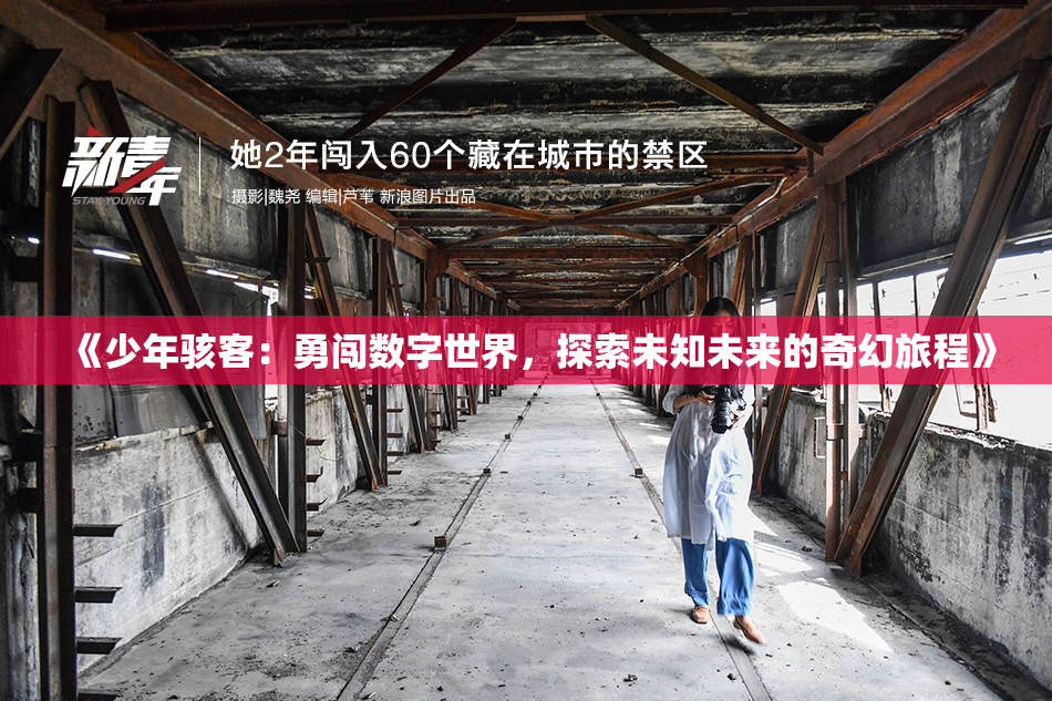 《少年骇客：勇闯数字世界，探索未知未来的奇幻旅程》