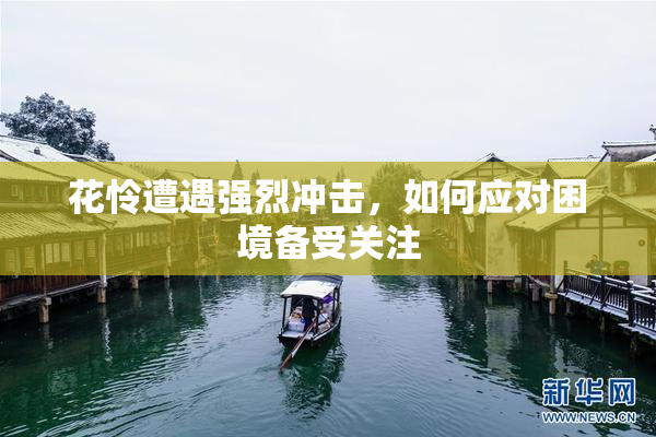 花怜遭遇强烈冲击，如何应对困境备受关注