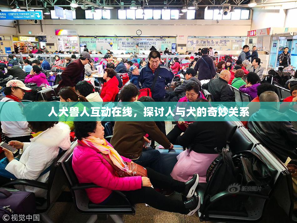 人犬兽人互动在线，探讨人与犬的奇妙关系