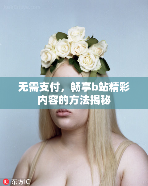 无需支付，畅享b站精彩内容的方法揭秘