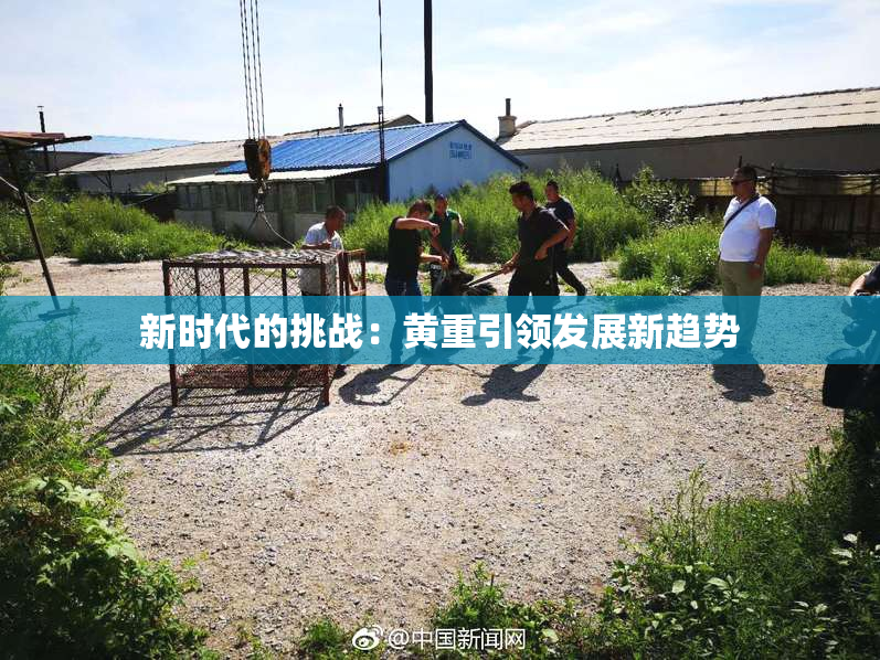新时代的挑战：黄重引领发展新趋势