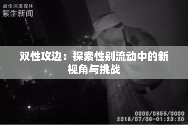 双性攻边：探索性别流动中的新视角与挑战