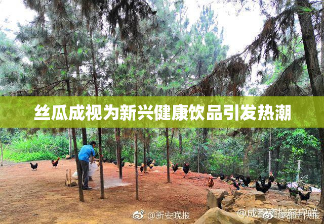 丝瓜成视为新兴健康饮品引发热潮