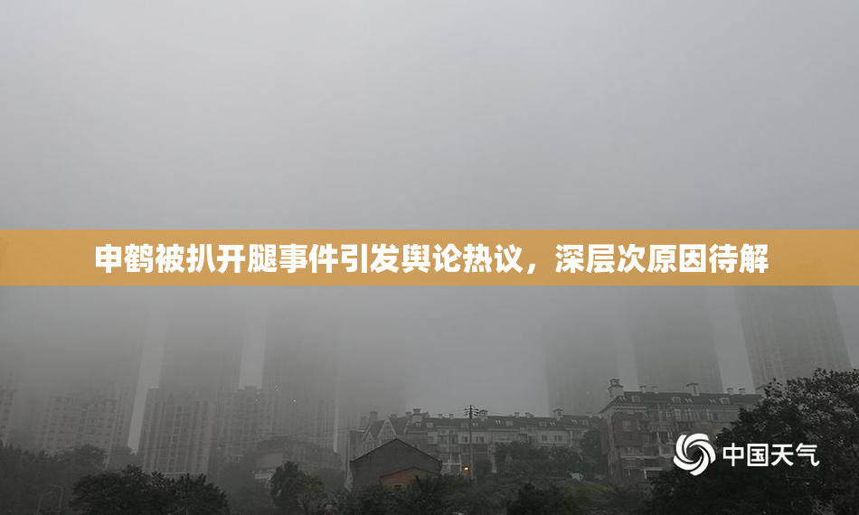 申鹤被扒开腿事件引发舆论热议，深层次原因待解