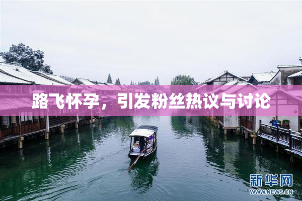 路飞怀孕，引发粉丝热议与讨论
