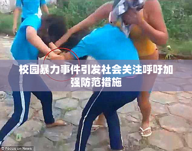 校园暴力事件引发社会关注呼吁加强防范措施