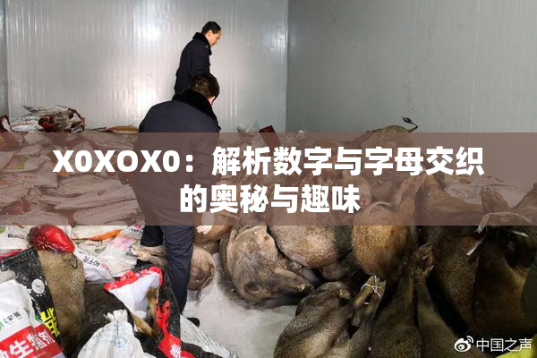 X0XOX0：解析数字与字母交织的奥秘与趣味