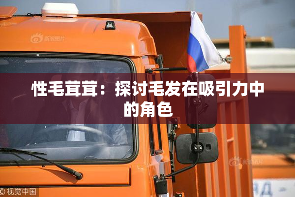 性毛茸茸：探讨毛发在吸引力中的角色