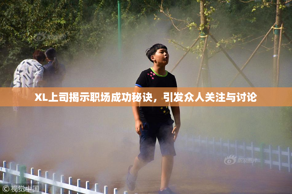 XL上司揭示职场成功秘诀，引发众人关注与讨论