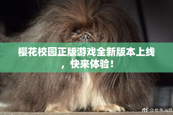 樱花校园正版游戏全新版本上线，快来体验！