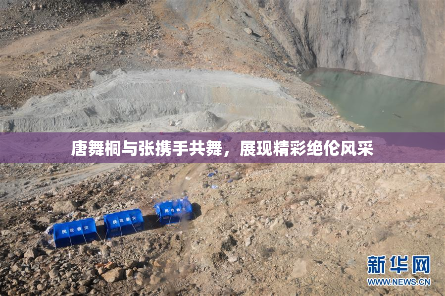 唐舞桐与张携手共舞，展现精彩绝伦风采