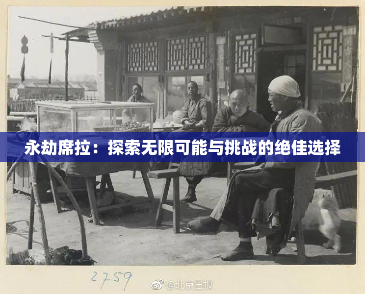 永劫席拉：探索无限可能与挑战的绝佳选择