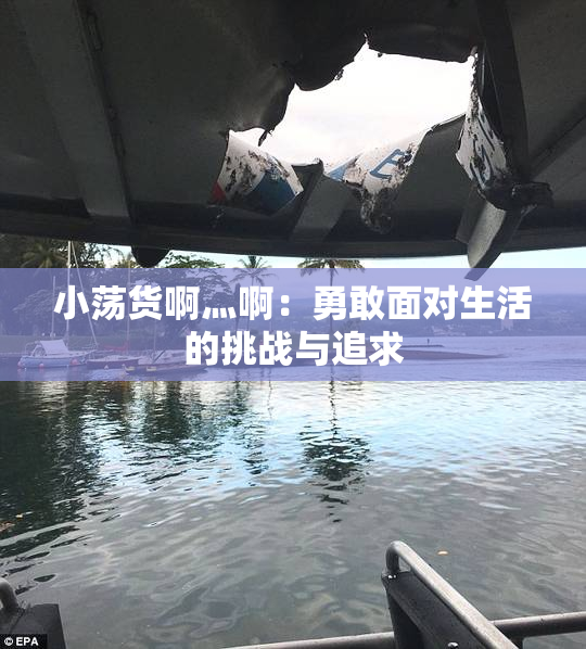 小荡货啊灬啊：勇敢面对生活的挑战与追求