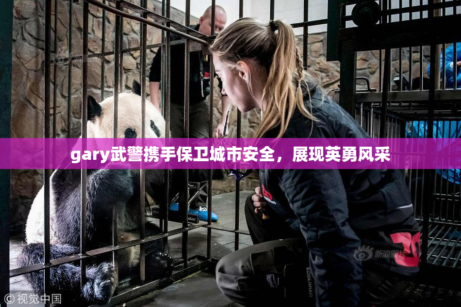 gary武警携手保卫城市安全，展现英勇风采