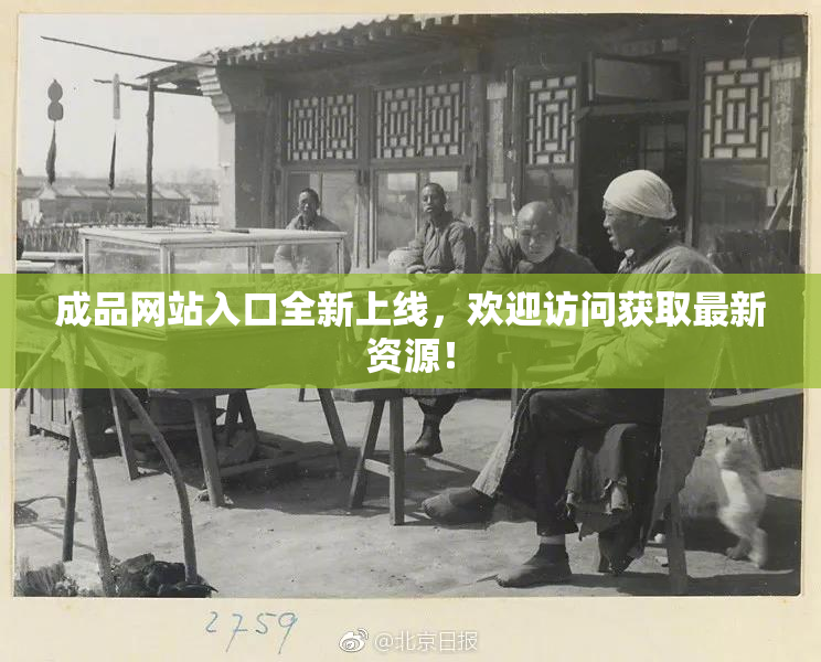 成品网站入口全新上线，欢迎访问获取最新资源！