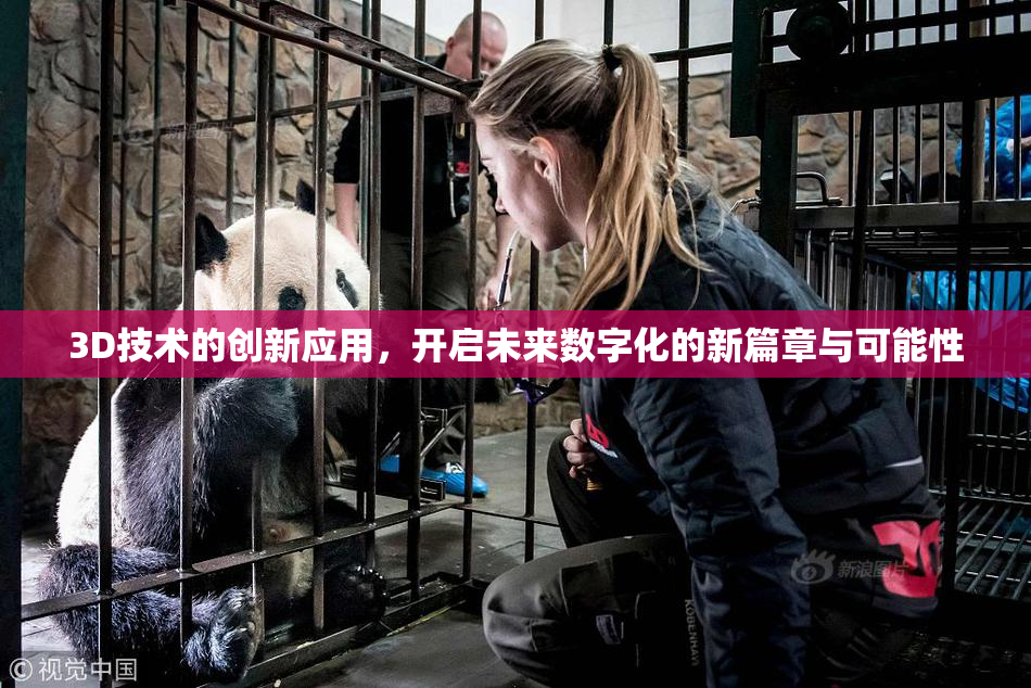 3D技术的创新应用，开启未来数字化的新篇章与可能性