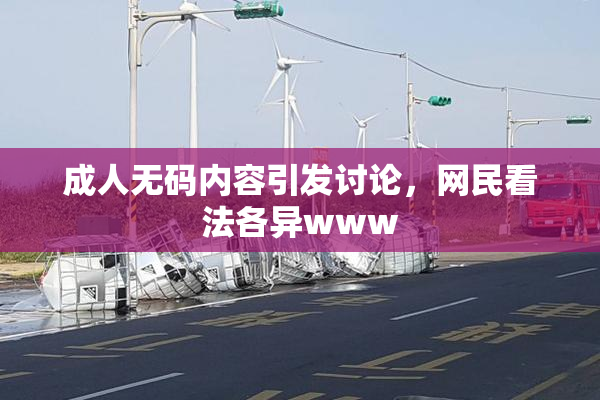 成人无码内容引发讨论，网民看法各异www