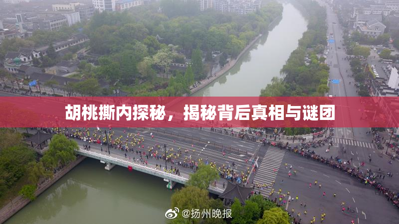 胡桃撕内探秘，揭秘背后真相与谜团
