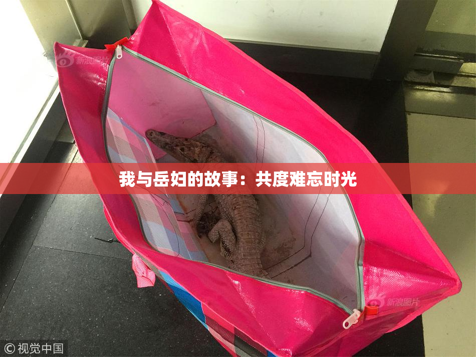 我与岳妇的故事：共度难忘时光
