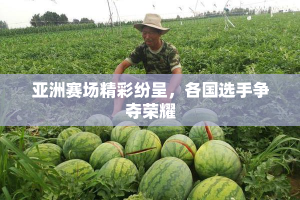 亚洲赛场精彩纷呈，各国选手争夺荣耀