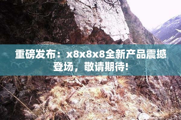 重磅发布：x8x8x8全新产品震撼登场，敬请期待!