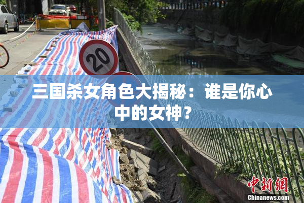 三国杀女角色大揭秘：谁是你心中的女神？