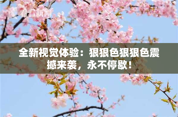 全新视觉体验：狠狠色狠狠色震撼来袭，永不停歇！