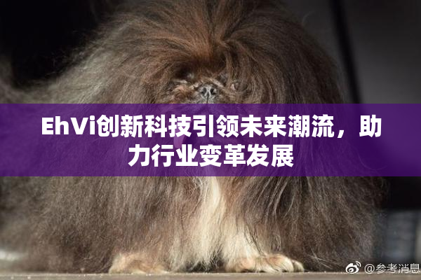 EhVi创新科技引领未来潮流，助力行业变革发展