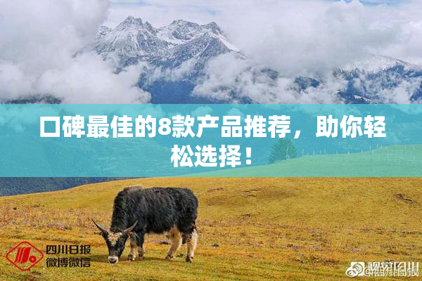 口碑最佳的8款产品推荐，助你轻松选择！