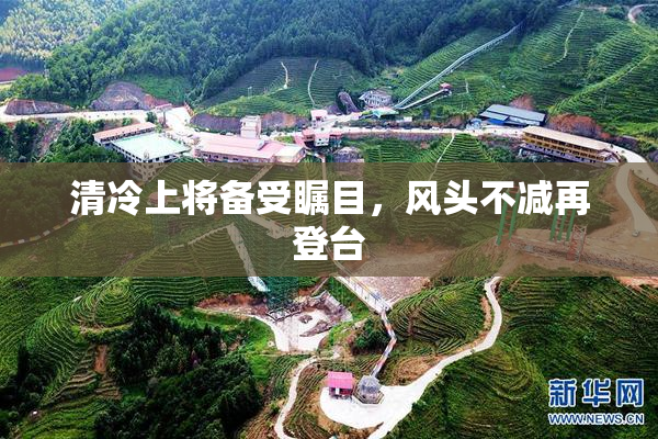 清冷上将备受瞩目，风头不减再登台