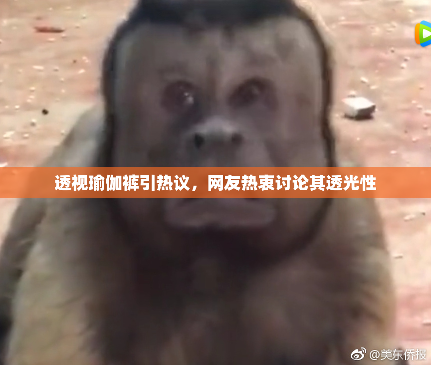 透视瑜伽裤引热议，网友热衷讨论其透光性