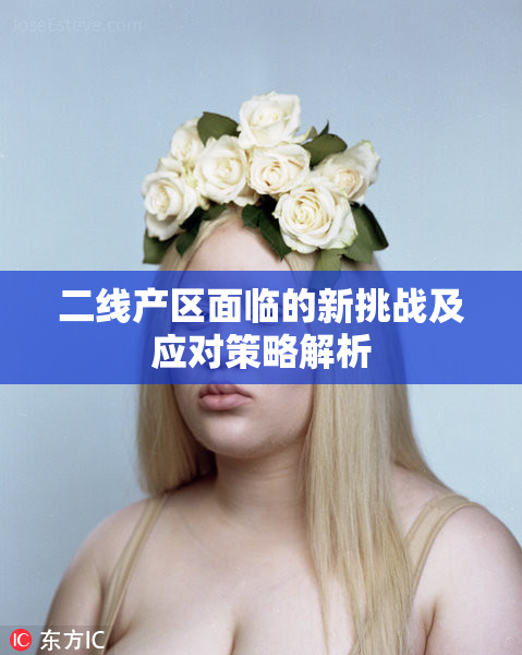 二线产区面临的新挑战及应对策略解析
