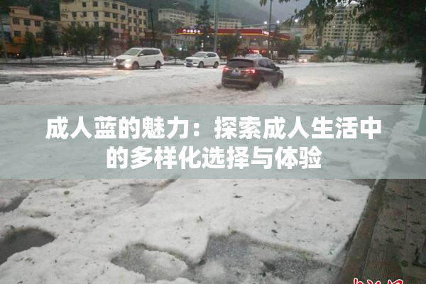 成人蓝的魅力：探索成人生活中的多样化选择与体验