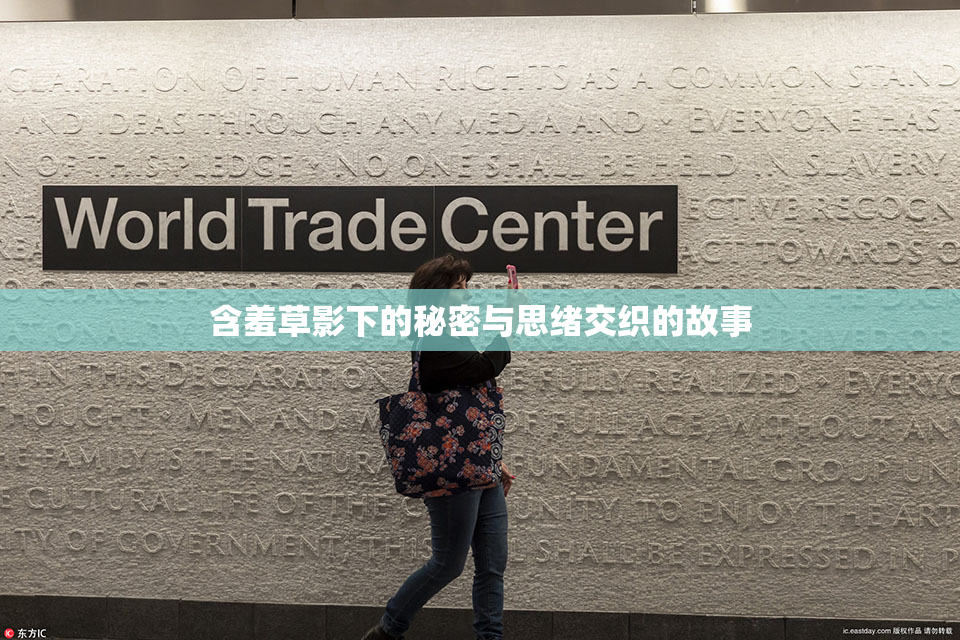 含羞草影下的秘密与思绪交织的故事