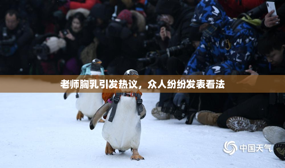 老师胸乳引发热议，众人纷纷发表看法
