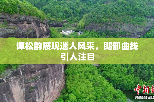 谭松韵展现迷人风采，腿部曲线引人注目
