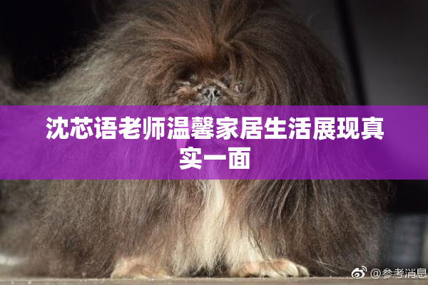 沈芯语老师温馨家居生活展现真实一面
