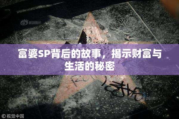 富婆SP背后的故事，揭示财富与生活的秘密
