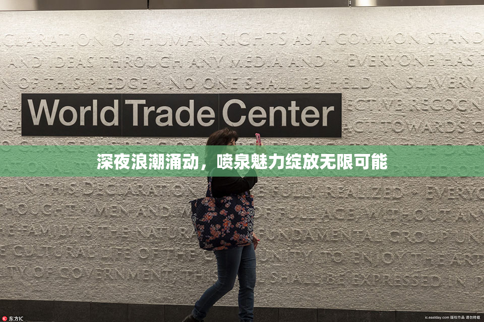 深夜浪潮涌动，喷泉魅力绽放无限可能