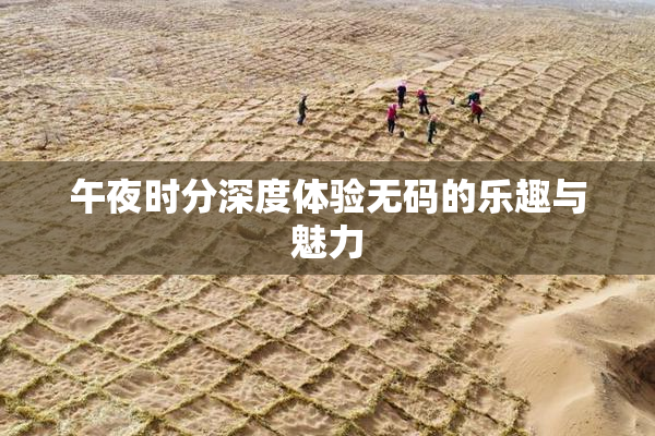 午夜时分深度体验无码的乐趣与魅力