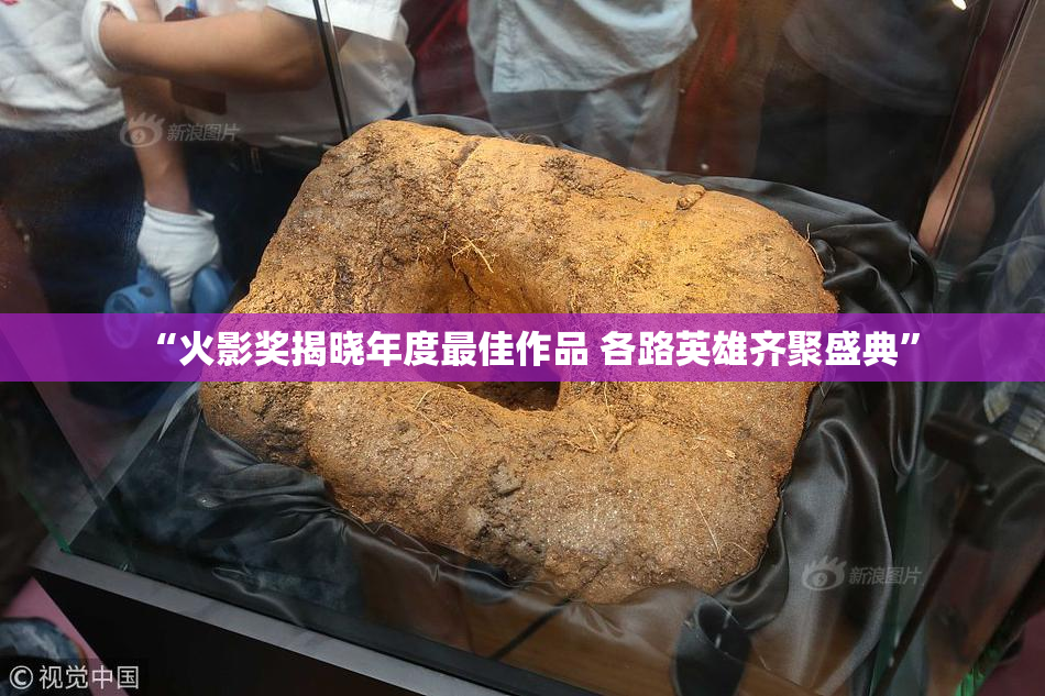 “火影奖揭晓年度最佳作品 各路英雄齐聚盛典”