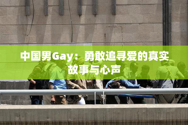 中国男Gay：勇敢追寻爱的真实故事与心声
