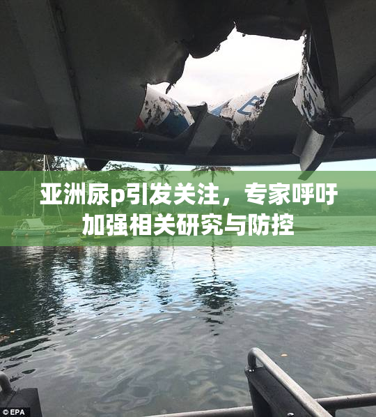 亚洲尿p引发关注，专家呼吁加强相关研究与防控