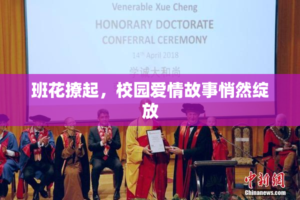 班花撩起，校园爱情故事悄然绽放